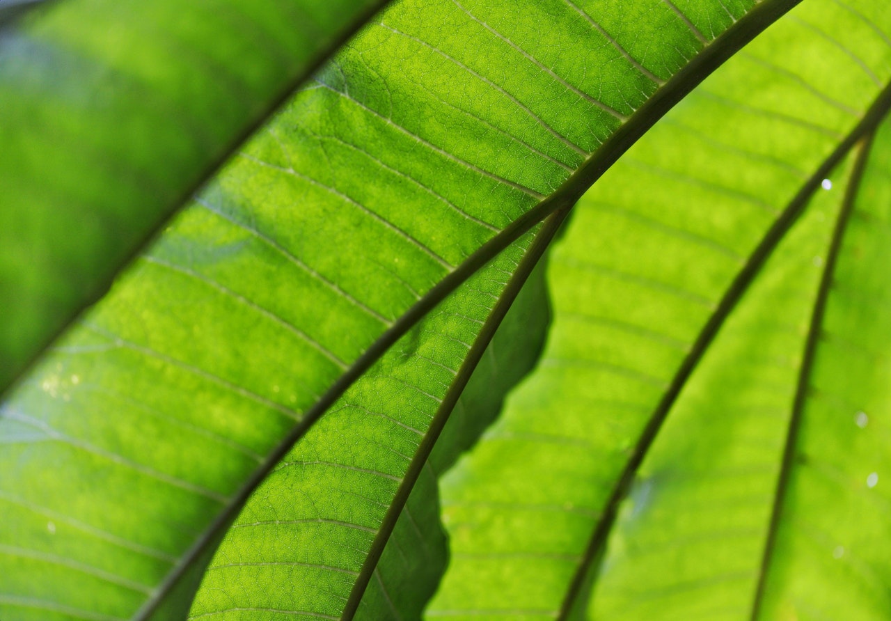 Bernd dittrich 0 Q Hm6c BY2 Mc unsplash